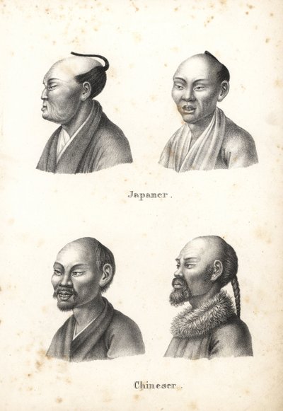 Busts d