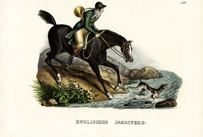 Cheval de chasse anglais, 1824 - Karl Joseph Brodtmann