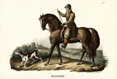 Cheval de chasse espagnol, 1824 - Karl Joseph Brodtmann