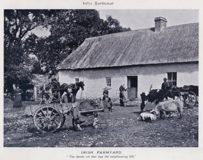 Cour de ferme irlandaise - Karl Karlovich Piratsky