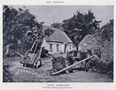 Ferme irlandaise (photo) - Karl Karlovich Piratsky