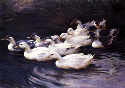 Canards - Karl Lindner