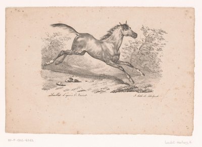 Cheval galopant dans le paysage - Karl Loeillot Hartwig
