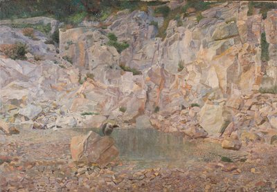 Le vautour dans les rochers - Karl Mediz