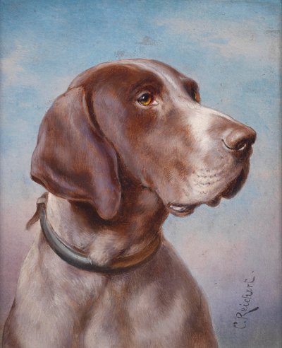 Portrait de chien - Karl Reichert