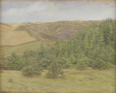 Collines de Svanninge, Fionie - Karl Schou