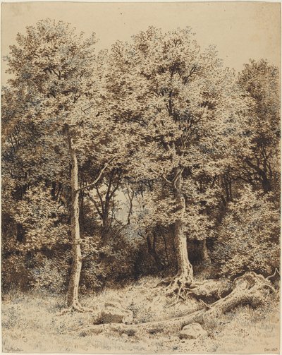 Un bosquet d
