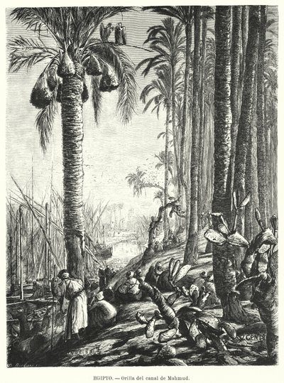 Rives du canal Mahmoudiyah, Égypte - Karl Wilhelm Gentz
