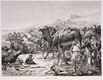 Tonte des chameaux - Karl Wilhelm Gentz