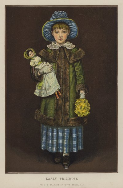 Primevère précoce - Kate (after) Greenaway