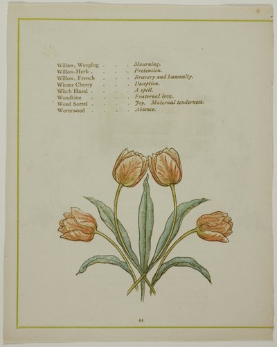 Illustration Décorative, de La Langue Illuminée des Fleurs - Kate Greenaway