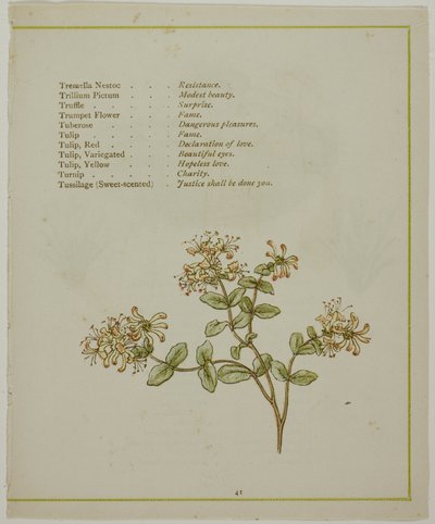 Valérianne à travers Volkamenia, de La Langue illuminée des fleurs - Kate Greenaway