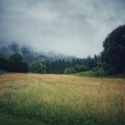 Monts Brumeux, 2021 (photo) - Katha Wood