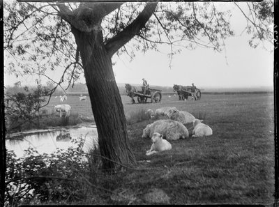 Luckhurst, Lower Road, Stone-Cum-Ebony, Ashford, Kent - Katherine Jean Macfee