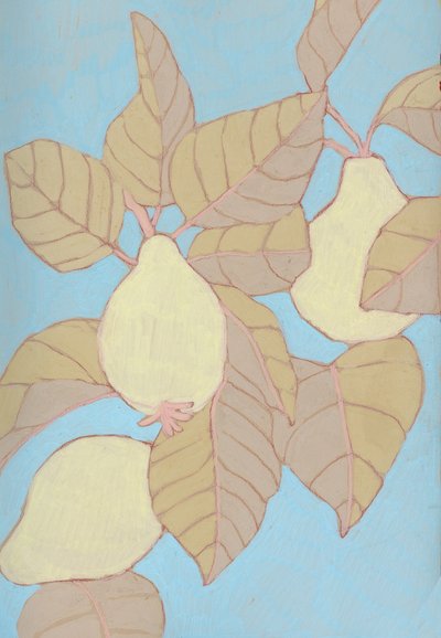  - Katie O'Shea