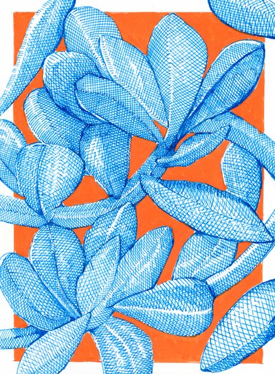  - Katie O'Shea