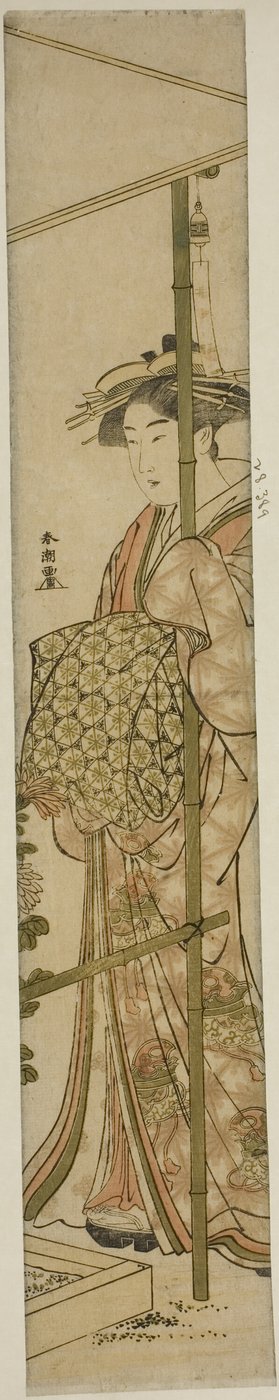 Courtisane admirant des chrysanthèmes - Katsukawa Shuncho