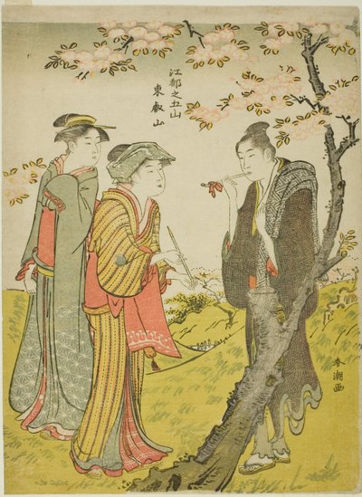 Colline de Toei (Toeizan), de la série "Cinq collines d
