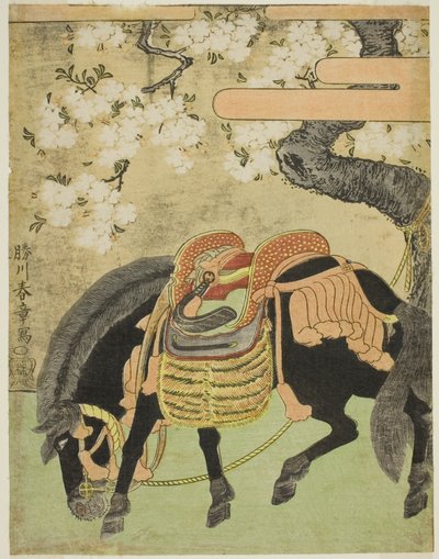 Cheval noir attaché sous un cerisier en fleurs - Katsukawa Shunsho