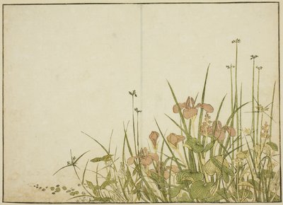 Fleurs d