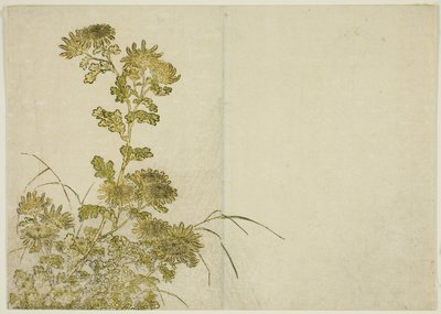 Fleurs d