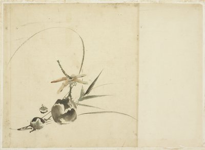 Branche de fruits avec libellule - Katsushika (school of) Hokusai