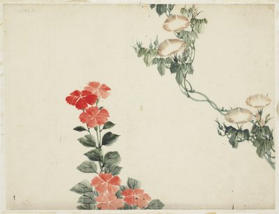 Gloire du matin et fleurs rouges - Katsushika (school of) Hokusai