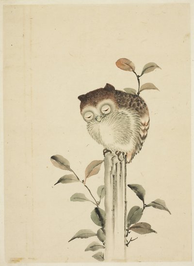 Hibou endormi sur une souche - Katsushika (school of) Hokusai