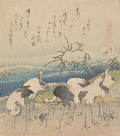Palourde Ashi, de la série Genroku Kasen Kai-awase, 1821 - Katsushika Hokusai