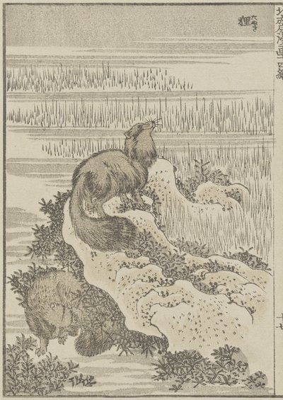 Blaireau, c. 1840 - Katsushika Hokusai