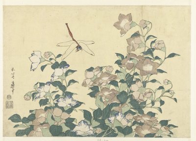 Campanule et libellule - Katsushika Hokusai