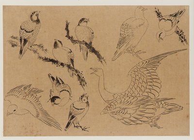Oiseaux, période Edo, fin du XVIIIe-début du XIXe siècle - Katsushika Hokusai