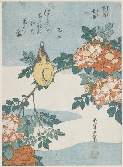 Loriot à nuque noire et rose de Chine, vers 1833 - Katsushika Hokusai