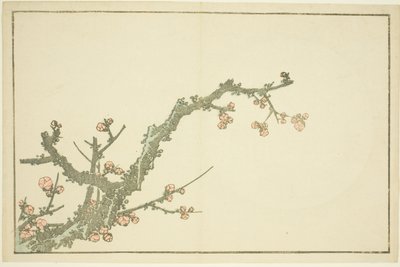 Prunier en fleurs, du Livre d