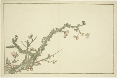 Prunier en fleurs, du Livre d