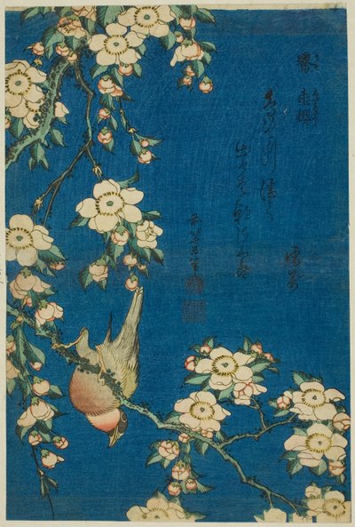 Bouvreuil et cerisier pleureur (Uso, shidarezakura), d
