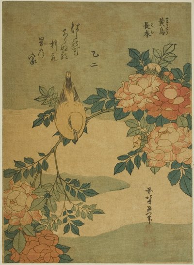 Bouscarle et rose (Kocho, bara), d