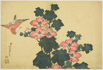 Roses de Coton et Moineau, d