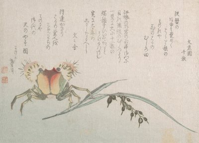 Crabe et plante de riz, 19e siècle - Katsushika Hokusai
