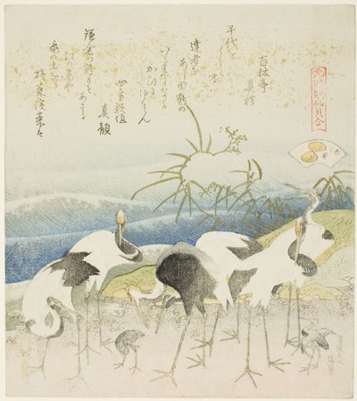 Grues au bord de la mer, illustration pour La Coquille de la Jambe (Ashigai), de la série "Un jeu d