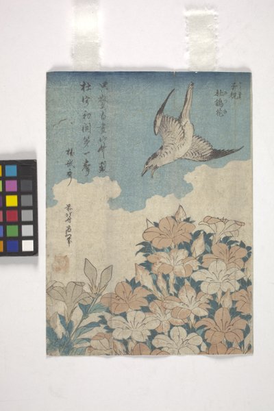 Coucou et azalée - Katsushika Hokusai