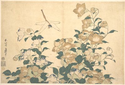 Libellule et campanule - Katsushika Hokusai