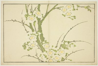 Fleurs, du Livre d