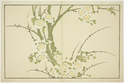 Fleurs, du Livre d