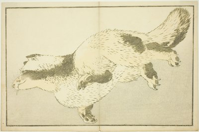 Renard, du Livre d