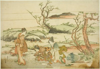 Cueillette des légumes de printemps, de l