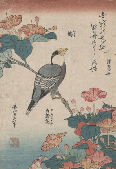 Gros-bec sur Mirabilis, de la série sans titre nommée Petites Fleurs - Katsushika Hokusai