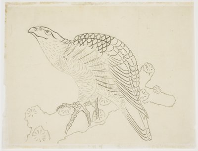 Faucon sur une branche (étude) - Katsushika Hokusai