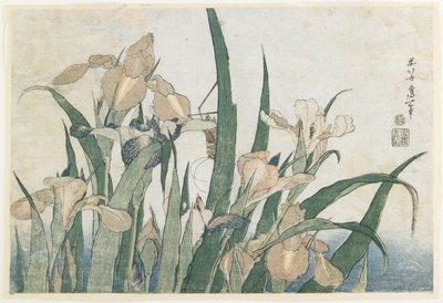 Fleurs d
