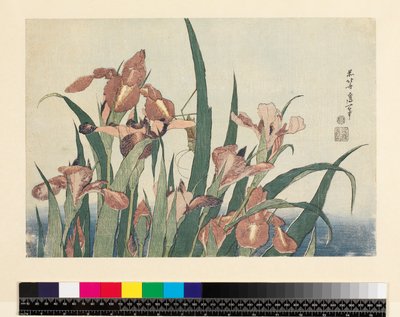 Iris et sauterelle, publié par Nishimura Eijudo, vers 1832 (yoko-e - format horizontal, estampe sur bois en couleur) - Katsushika Hokusai
